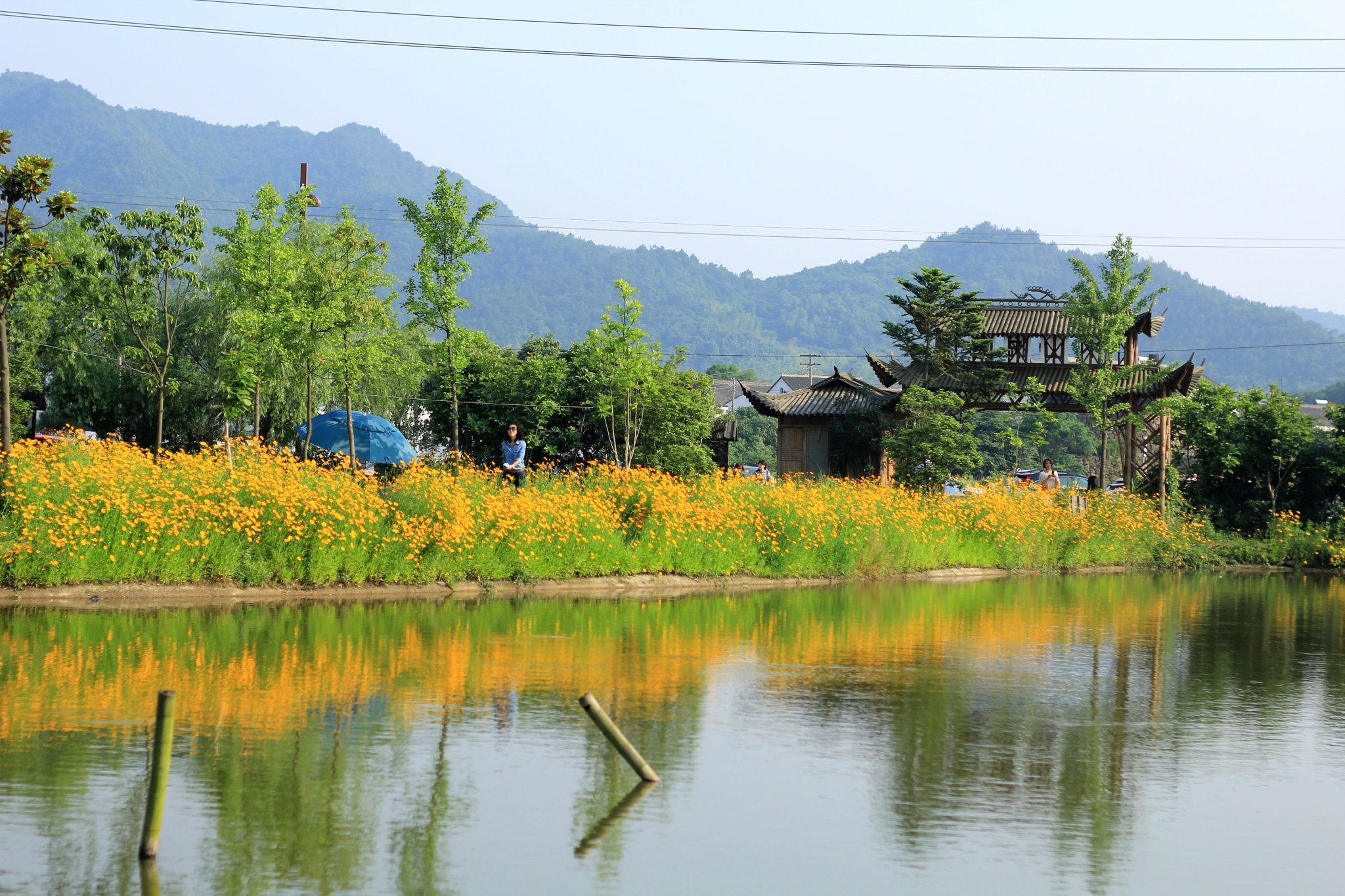 宁波景点介绍,宁波旅游景点,宁波景点推荐 - 蚂蜂窝