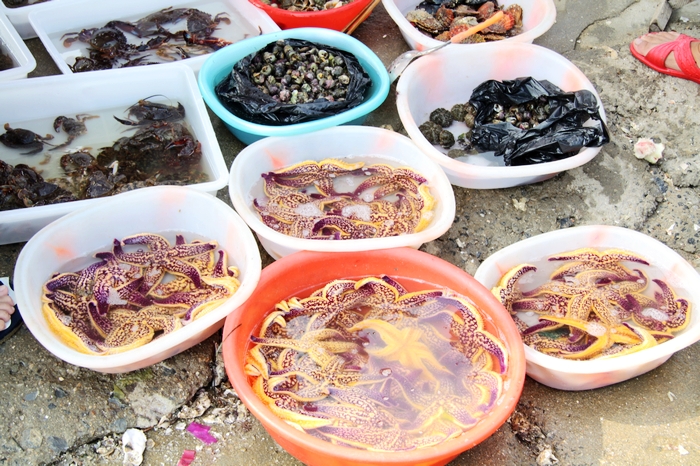 海鲜干货黄鱼制作方法_日本海鲜干货包装_海鲜干货的保存方法(3)