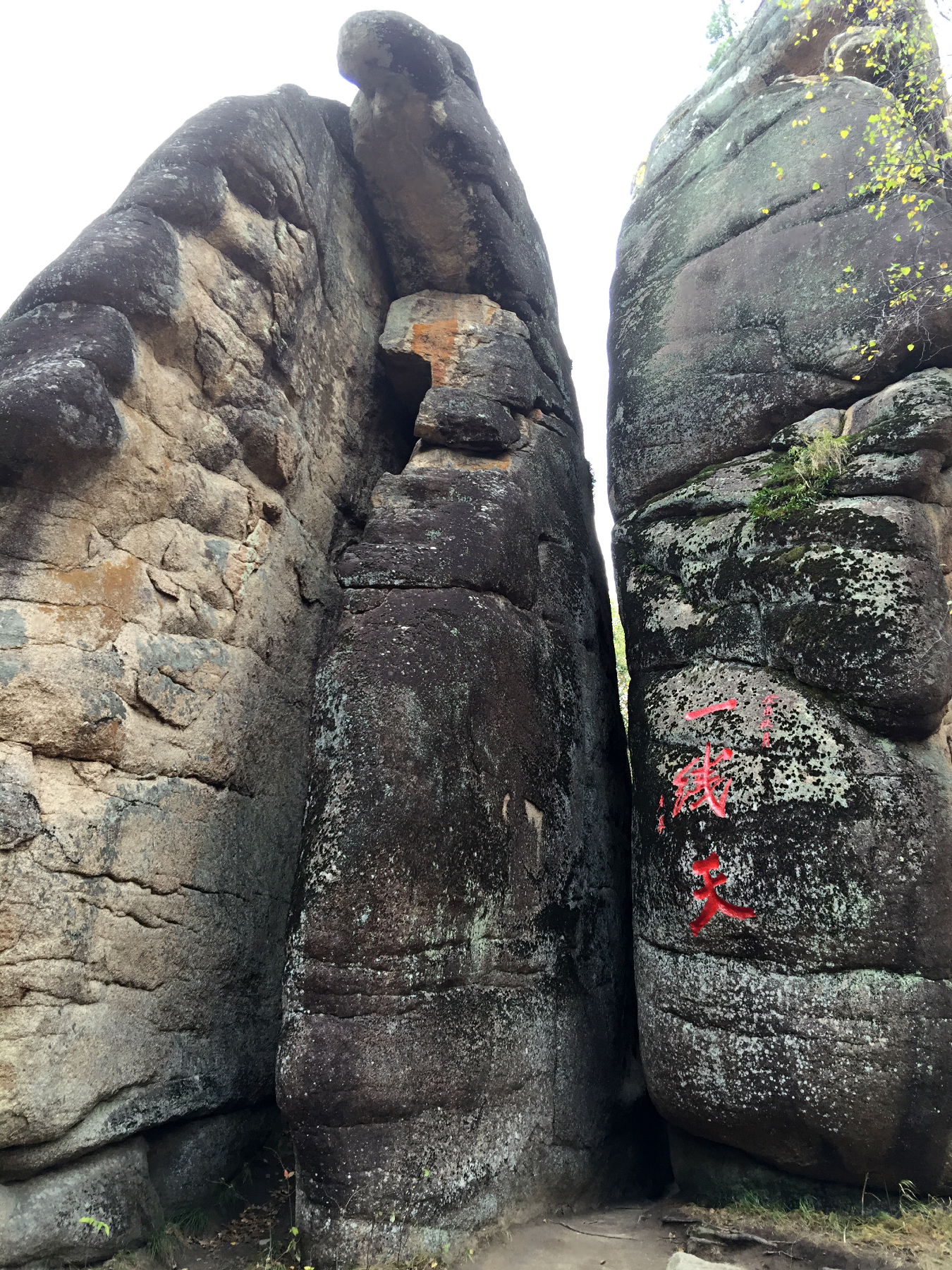 汤旺河林海奇石风景区      