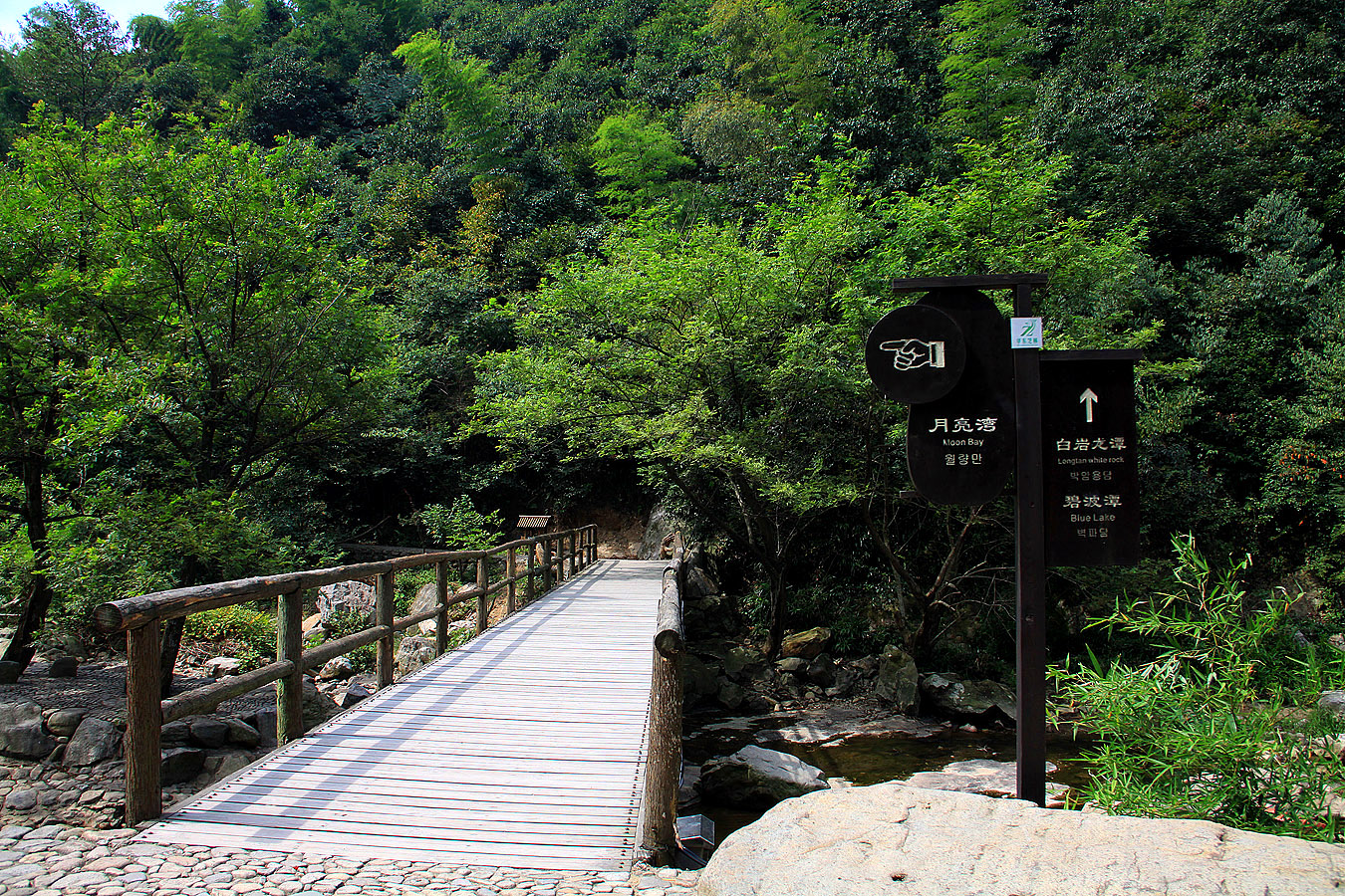 余姚芝林景区        