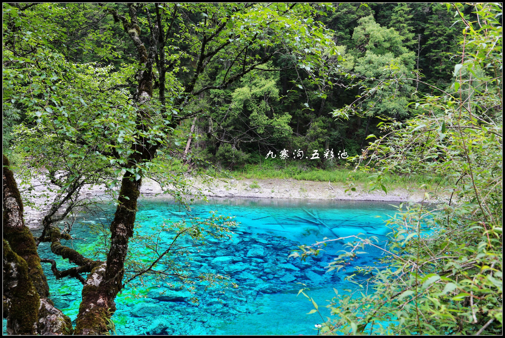 九寨沟五彩池        