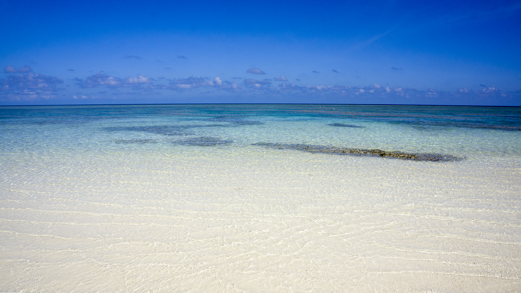 西沙群岛可以自由行吗个人如何去西沙群岛旅游一个人能去西沙群岛吗